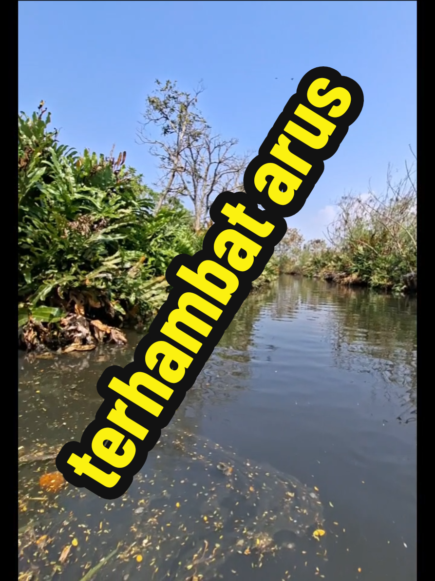 #CapCut  #pemburubiawak  #berburu #penjelejah #pemburu #mancing #berburubiawak #fyppppppppppppppppppppppp #viral 