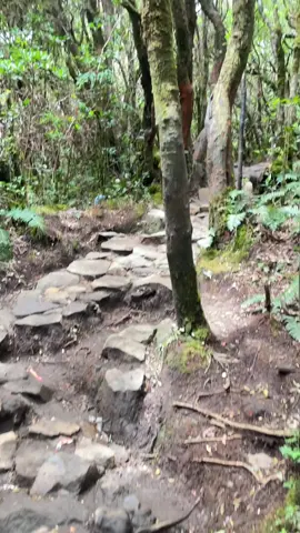 trek paling candu #fypシ #suryakencanagununggede #gununggede2958mdpl #surkengununggede #fyppppppppppppppppppppppp 