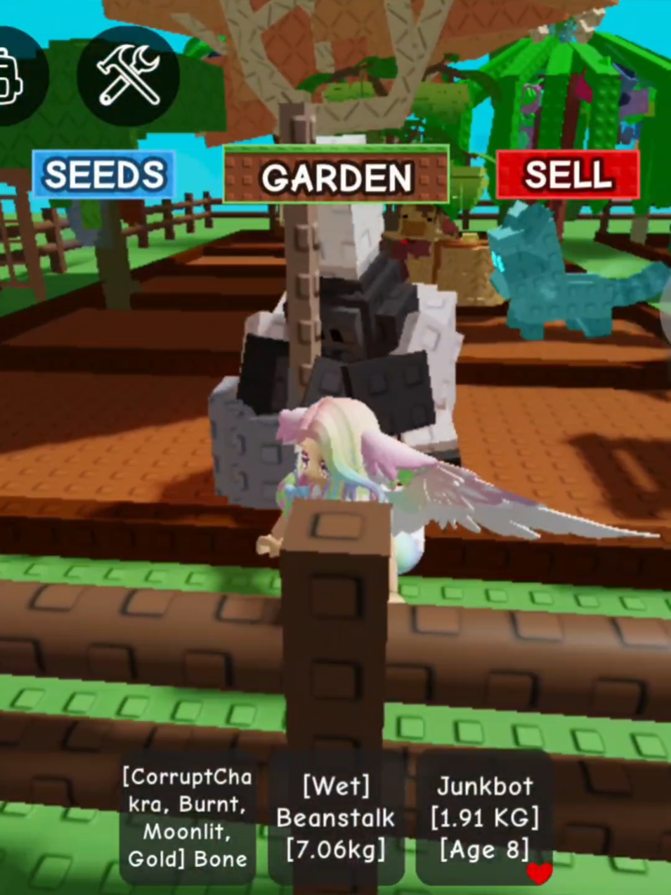 yang chest malah belum dapet2 #growagarden #cookingevent #roblox 