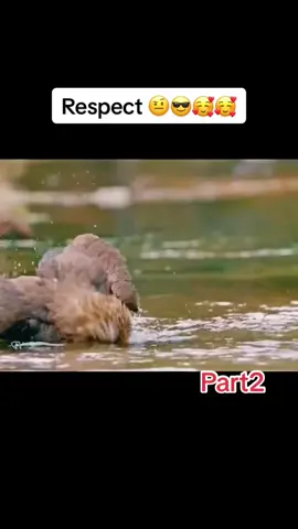 Best cartoon 🥰👑️🍃part (2)   #indian #highlightseveryonefollowers2025シ゚viralfbreelsfypシ゚viral  #oldcartoons #classiccartoons #cartoon #droopy #tomandjerry #cartoonnetwork #animation #tiktok #fyp #middleeast #lebanon #cartoons #cartoonme #cartoonprofilepic #cartooncosplay #cartoonists #tnycartoons #cartoonish #cartoonoftheday #cartoonsketch #foryoupageofficiall                                                                #HaileeSteinfeld                                                                                                  #healthylifestyle    #සරසවි                                                                                              #health                                                                                                                   😎#humorous  #everyone  #everyonehighlights #grupos 