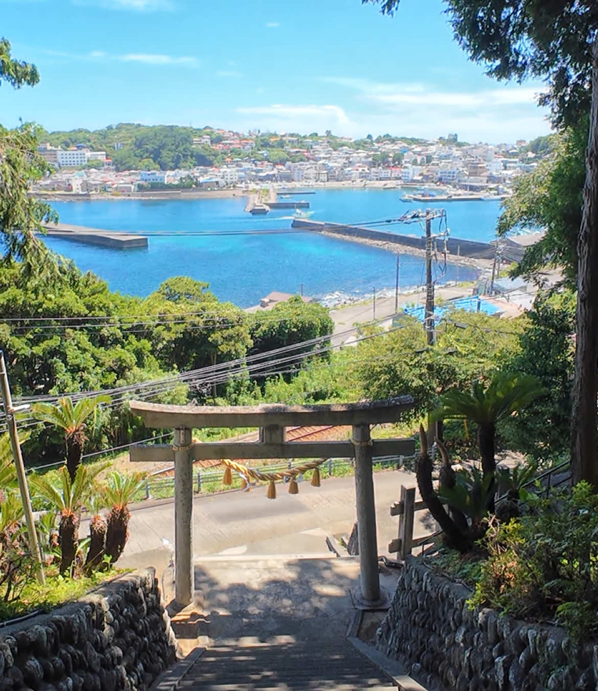 伊豆稲取 素盞雄神社 #伊豆稲取 #伊豆 #風景 #夏 #海  #リゾバ #夏休み #旅 #japan #japantravel #travel #trip #絶景 #絶景スポット 