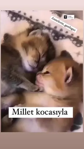 #🤣🤣🤣 