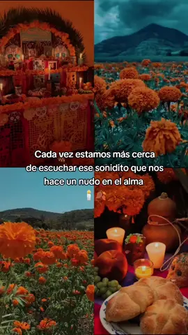 #diademuertos #noviembre #autumn #LIVEIncentiveProgram #LIVEStory #PaidPartnership 