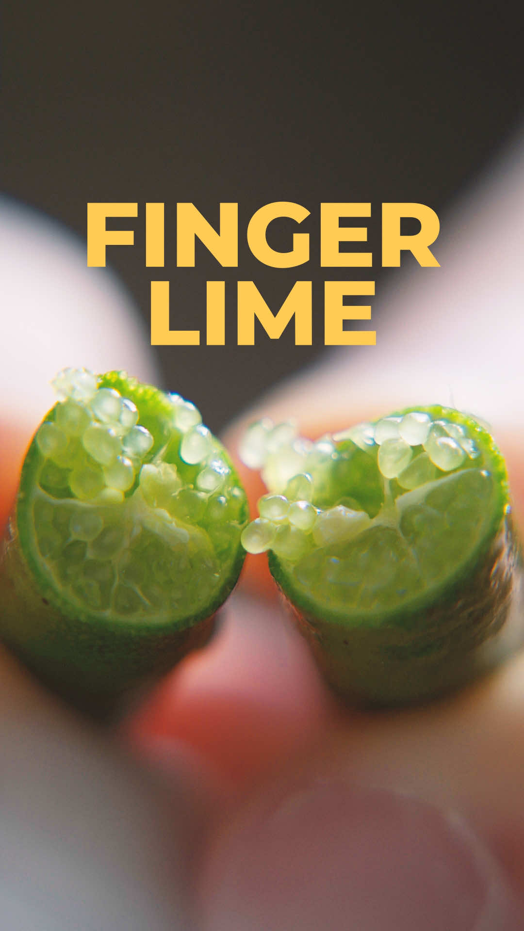 First harvest of finger limes. It’s perfect to grow in pots and quite easy to take care of.  #exoticfruit #fingerlimes #caviarlime #citrustree #pottedplants 