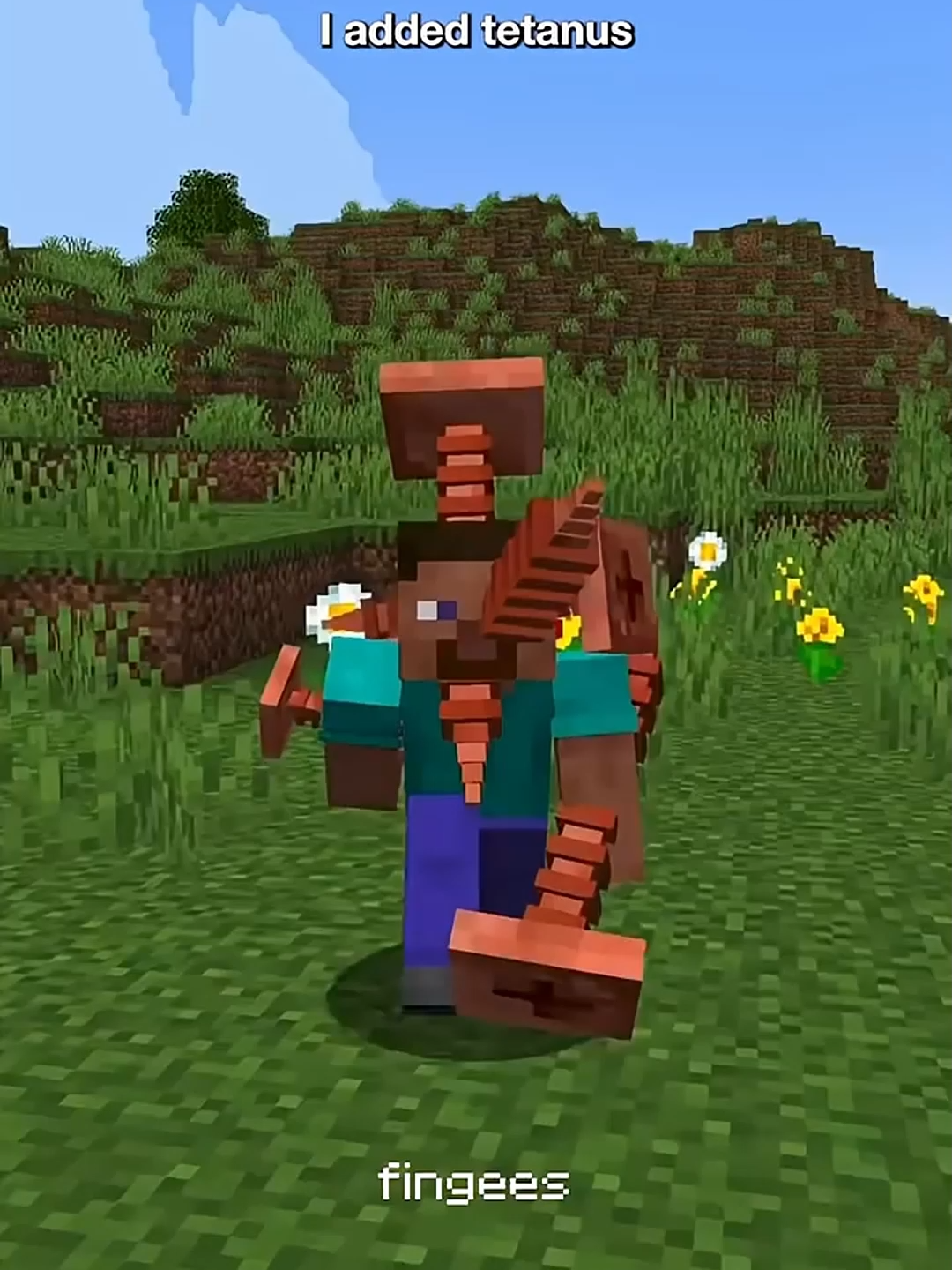I added tetanus to #Minecraft #cursedminecraft #minecraftmemes #limbuscompany