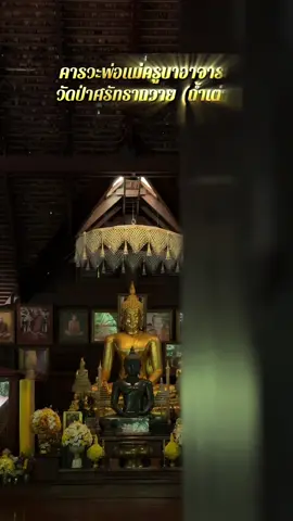 #วัดป่าศรัทธาถวาย (ถ้ำเต่า) คารวะพ่อแม่ครูบาอาจารย์ #พระราชวชิรญาณโกศล_วิ. (บุญมี ธัมรโต)
