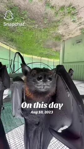 #onthisday 