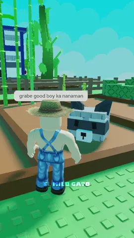 Hinanap niya si Racoon Jr. 🦝 #roblox #robloxmemes #growagarden #robloxph #streaksaver #fyp #elmilogato 