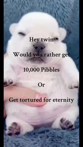 Super duper duper heaven vs super duper duper duper duper hell #schlawgo #cool #pibble #fyp @Nate @z4ffron @✞sexykabouter✞ @✝️ Mario ✝️ 