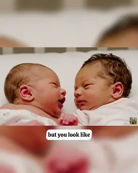 👶 When the family tree got too many branches 🌳😂  #newbornbaby #twinbaby #trendingnow #BabyTalk #CheekyBabies 