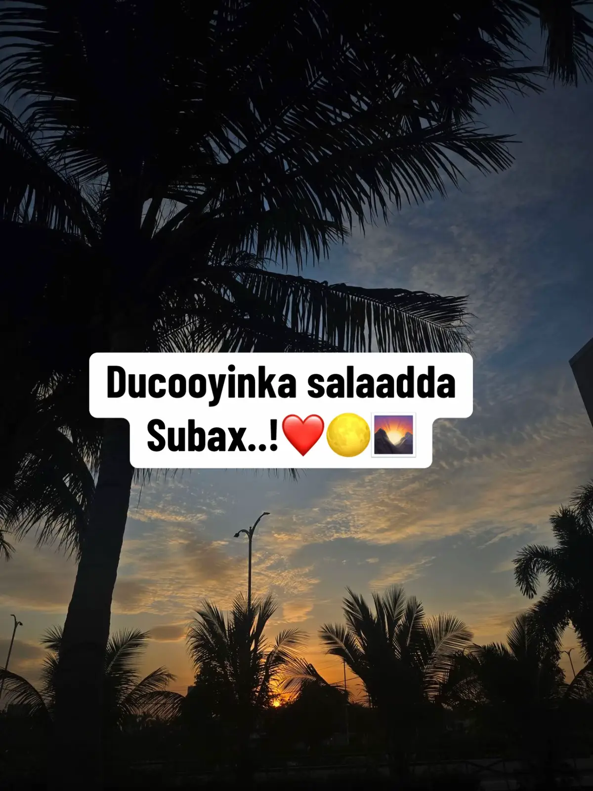 #dua #kheyr #kusali_rusul_kena_muxamed_scw #foryoupage #الحمدلله_دائماً_وابداً #scwscwscw💓💓💓 #foryou #islamic_video❤️❤️ #flypシ #somalitiktok @منديق 🎀. 