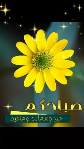 #في هذا اليوم 