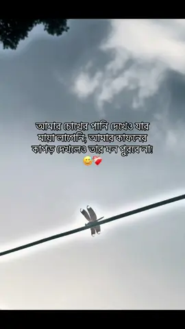 😅❤️‍🩹#রহস্যময়ীツ #please #saport #fypシ゚vairal #foryoupage #foryou 