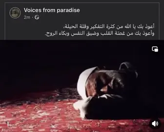 🤍🤲🏻 #قرأن_كريم_راحة_نفسية #qoran_karim 
