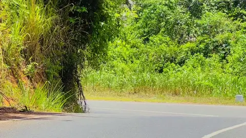 නමන නැමිලී ටික 😈 අන්තිමෙට නැමිල්ල 🥵 SB අයියගෙ තැරිගහන පැදිල්ල 💙💪 #shanthi_super_line_express සිරිපුර 22 මහනුවර 