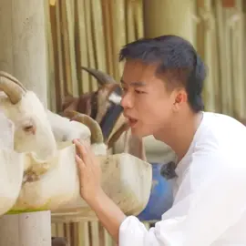 Thích mấy cái chuyển cảnh này quá đi à, editer 💯 điểm nha 🤣🤣🤣 Chắc tính cho 2 coan báo kể chiện Dê đen Dê trắng hay gì 😆😆😆 #buicongnam #duykhanh #giadinhhaha #dedendetrang 