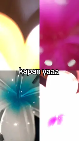 when yahh #xybca #jj #jedai #trend #bucin 