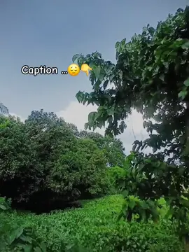 তুই জেই হস তরে i love you 😁#TikTokTrend #ForYouPage #unfreezemyacount #ExploreMore 