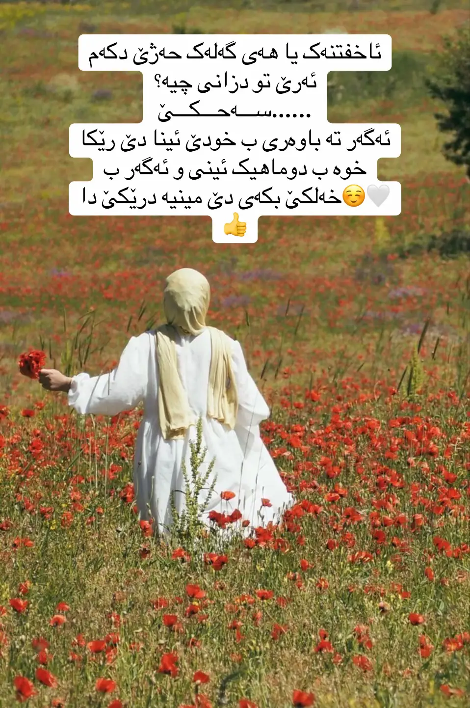 #zaxo_duhok_hewler_slemani 