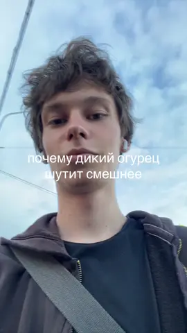 #дикийогурец 