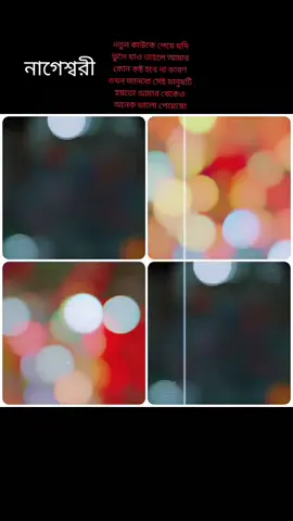 আয়েশা সিদ্দিকা Eva 🥀 ppppppppppppppppp
