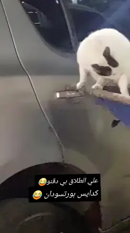 علي الطلاق بي دقنو😂#سودانيز_تيك_توك_مشاهير_السودان 