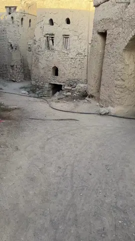 #iran 