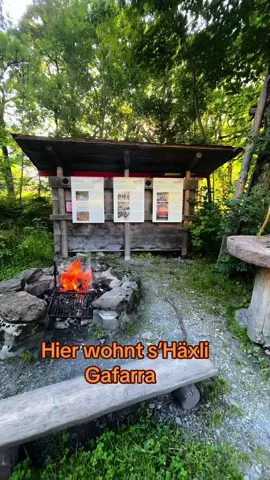 Herziger kleiner Spielplatz #ausflugstipp in der Ostschweiz 🇨🇭 mit Grillmöglichkeit #ausflug #wandern mit Kinder #wandernmachtglücklich #naturliebe #berge #ostschweiz #ausflugsziel Ostschweiz 