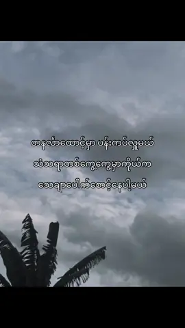 နေချင်နေတာမင်းလေးအနားမှာ…🫶🥀#tiktok #fypシ゚ #fyppppppppppppppppppppppp #fyp #💛 #သူ့ကိုနေ့တိုင်းကြူးမယ် 