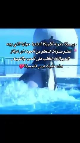 #جيسيكا_مدربه_الأوركا #ياأيها_الناس_اتقوا_ربكم  #هدفي من الفديو ان لاثقه بالبشر حتى نثق بحيوان✨️💯🤍