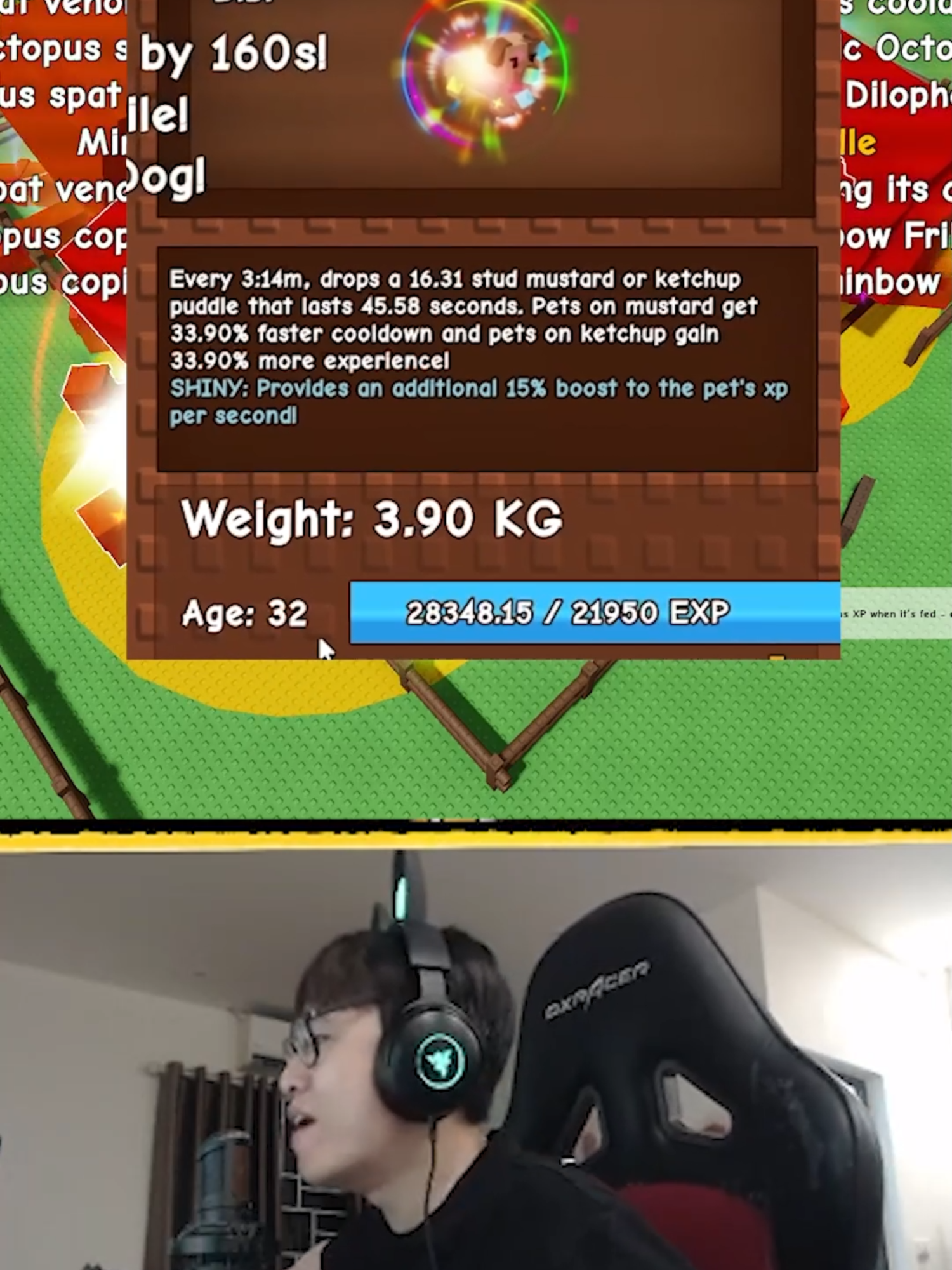 HOTDOG DASCHUND BUG?