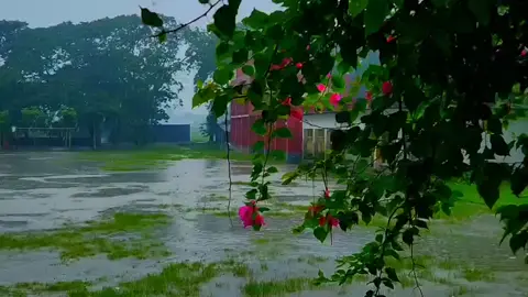 🥀🥀