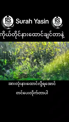 #surahyaseen #rsmyanmarislamicchannel #islamic_video #quran #foryoupageofficiall @RS Myanmar Islamic Channel  #VoiceEffects 