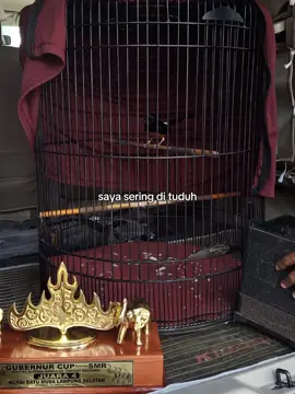 Alhamdulillah masih ada Cintanya di gubernur