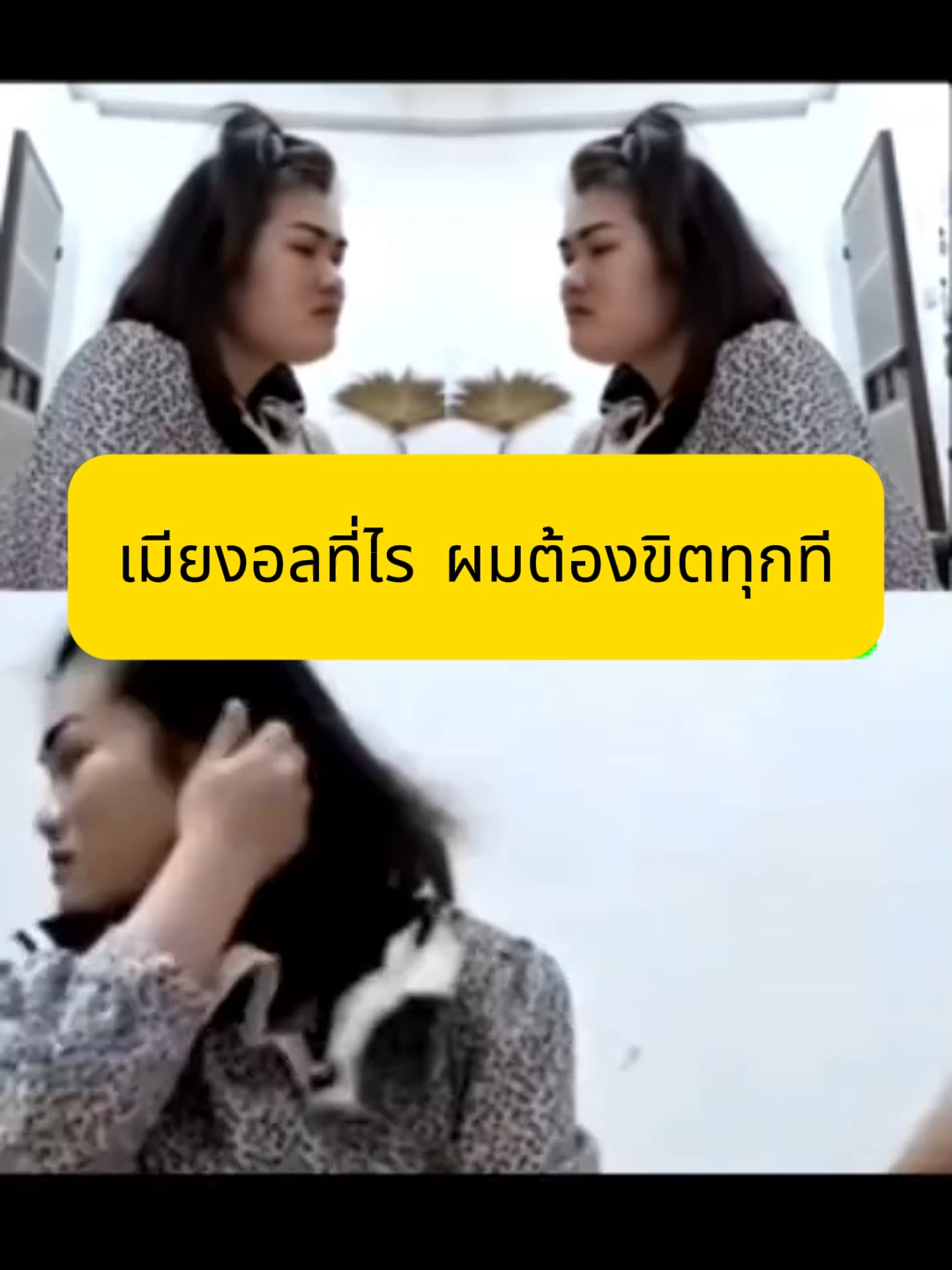 ผมขิตแน่เมียงอล #เทรนด์วันนี #ดาวติ๊กต๊อก #ข่าวtiktok #คนดังในtiktok #CapCut #มาแรงในtiktok #ตามกระแส #กลุ่มลับ #โหนกระแส #กลุ่มฟรี #สาวน่ารัก #น่ารักเกิ๊นนน #thailand #fypシ #ฟีดดดシ #ดาวทวิต #ฟีดดด #กระแสมาแรง