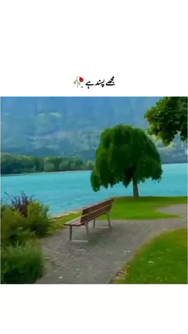 #foryoupage #fypシ゚ #fypシ゚ #fyp #foryoupage #foryoupage #fypシ゚viral🖤tiktok #fypシ゚viral🖤tiktok #foryoupage #fyp #fypシ゚ #fyp #foryoupage #tiktokstudio #foryoupage #unfreezemyacount #pleaseunfrezzemyaccount #creatorsearchinsights #fyppppppppppppppppppppppp #creatorsearchinsights @TikTok 