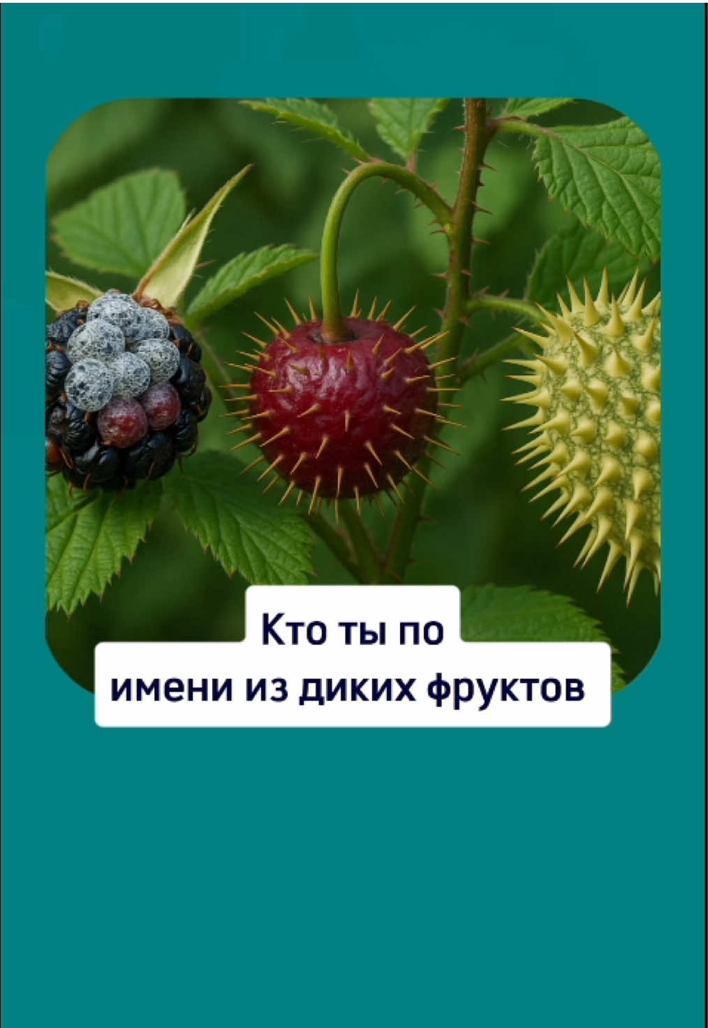 Кто ты по имени из диких фруктов #fyp #fyr #fyroupage #фрукты #envelope 