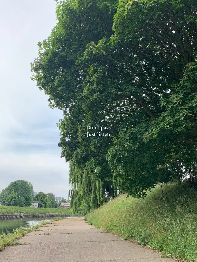 Just listen for a bit🤲 . . . . #qoran #quran #explore #foryoupagee #foryoupage❤️❤️ #explore #fyp #muslimtiktok #quranrecitation 