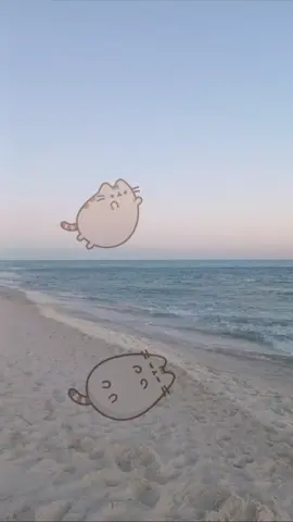 #pusheen #fyp 