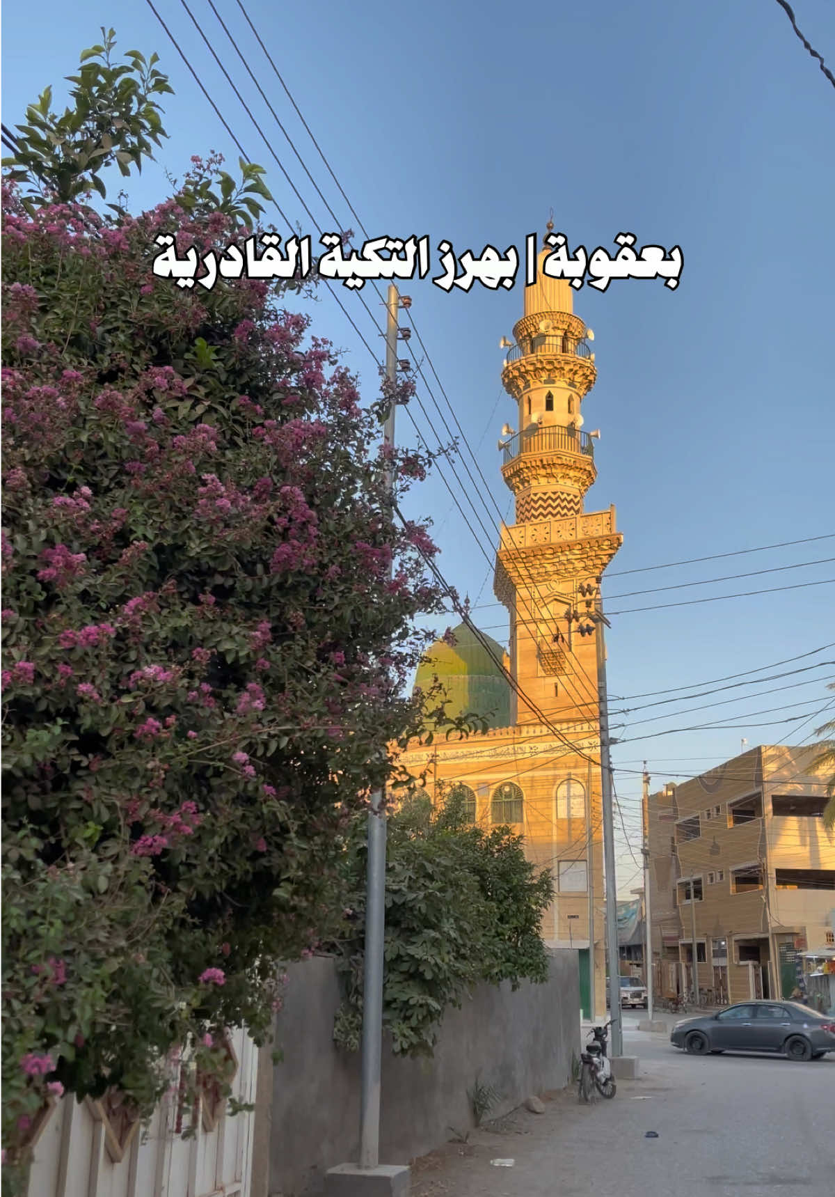 بعقوبه | بهرز منو يندل وين هاي التكيه بهرز ؟  #بهرز #بعقوبه #ديالى_بعقوبة #بعقوبة_مدينتي🍊 #ديالى 