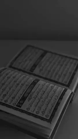 (31) وَلَا تَقْرَبُوا الزِّنَا إِنَّهُ كَانَ فَاحِشَةً وَسَاءَ سَبِيلًا (32❤️😭☝️#fouryoupage #tik_tok #fyyyyyyyyyyyyyyyy #fyp #tiktok 