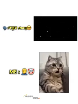 বন্ধুর story🤡🙏#foryoupage #fypage #bdtiktokofficial #foryou #viralvideo #trending 