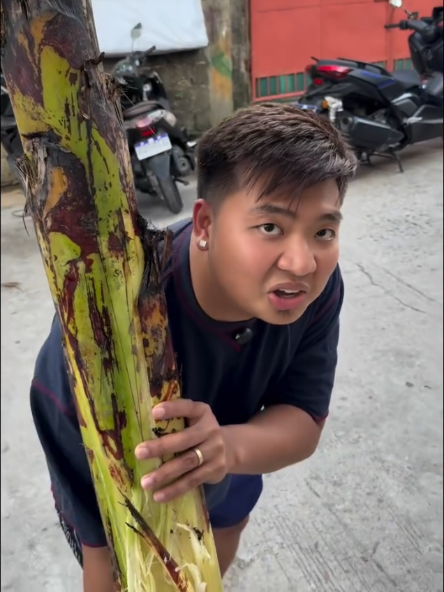 Puno ng saging for sale #malupitonofficial #fyp #malupiton #kolokoystvofficial #foryou 