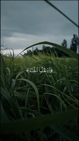 ٱدۡخُلُواْ ٱلۡجَنَّةَ#محمد_اللحيدان #اكتب_شي_توجر_عليه #قران #سورة_الزخرف #محمد_اللحيدان #alquran_alkareem0 #صدقه_جارية #القران_الكريم 