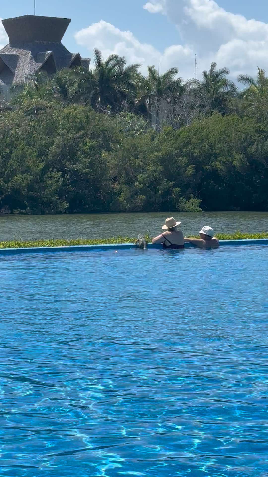 They did in fact mind ☹️ #fyp #mexico #scooch #rivieramaya 