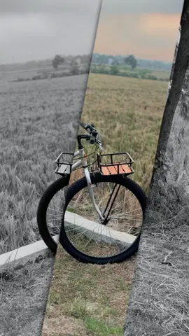 phoenix izin ikutt bang🙏🙏 #commuterbike #commuterbikeindonesia #ladybike #fomo 