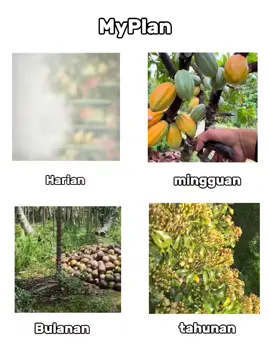#petanimuda #cabai #kakao #kelapa #cengkeh 
