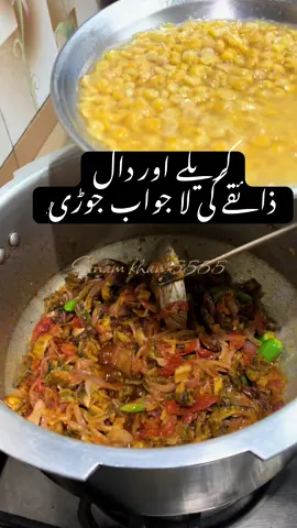 کریلہ اور دال کا نایاب ذائقہ – ایک بار کھا کے دیکھیں!” #UniqueTaste #KarelaAndDal #MazedarSalun #PakistaniFood #CookingWithLove #FoodieVibes #SanamKhan5555 