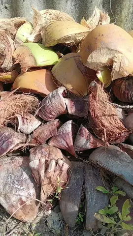 Dép Siêu Đẹp Giá Cả Phải Chăng 