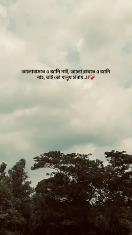 #fyp #foryou #viral #foryou 